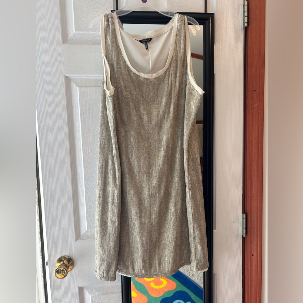 Daisy Fuentes Silver and Gold Sheath Mini Dress